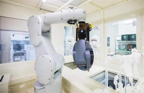 50億光刻機工廠落地引發全球關注，外媒 阻礙中國只會令其更強大